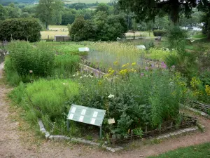 Parc Naturel Régional du Morvan - Herbularium (jardin de simples) de la Maison du Parc - Espace Saint-Brisson