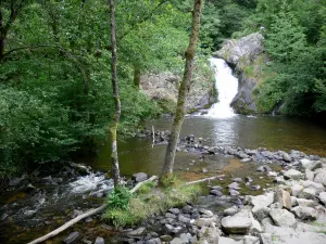 Parc Naturel Régional du Morvan - Saut de Gouloux (cascade du Caillot), dans un cadre de verdure