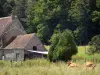 Parc Naturel Régional du Perche - Ferme en pierre, vaches dans un pré, et arbres