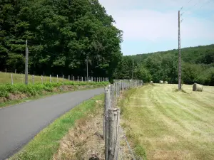 Parc Naturel Régional du Perche - Route de campagne bordée de champs et d'arbres