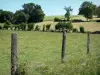 Parc Naturel Régional du Perche - Clôture d'une prairie, champs et arbres