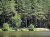 Parc Naturel Régional du Perche - Arbres au bord d'un étang