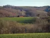 Parc Naturel Régional du Pilat - Pâturages, arbres et maisons