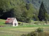 Parc Naturel Régional des Pyrénées Ariégeoises - Grange, prés et arbres ; dans la vallée du Garbet, en Couserans