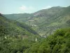 Parc Naturel Régional du Vercors - Massif du Vercors : petites montagnes couvertes d'arbres et de pâturages