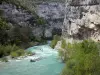 Parc Naturel Régional du Verdon - Gorges du Verdon : route des gorges, falaises (parois rocheuses), rivière Verdon et arbres au bord de l'eau