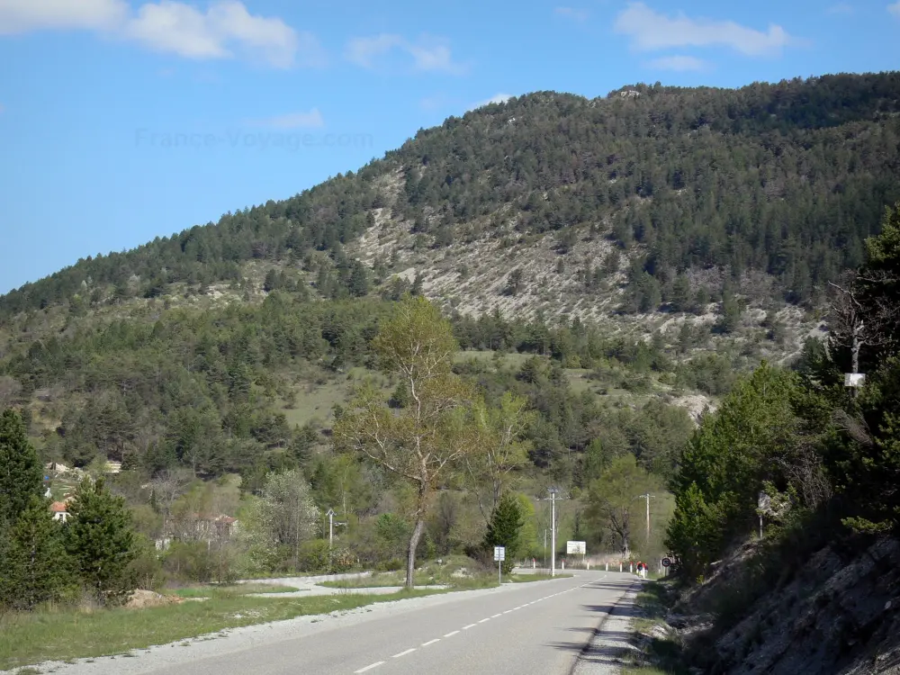 Le Parc Naturel Régional du Verdon - Parc Naturel Régional du Verdon: Route Napoléon et colline parsemée d'arbres