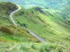 Le Parc Naturel Régional des Volcans d'Auvergne - Parc Naturel Régional des Volcans d'Auvergne: Monts du Cantal : route traversant un paysage préservé et verdoyant