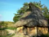 Parc Samara - Reconstitution d'un habitat préhistorique (âge du bronze) : maison