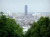 Parco di Belleville - Veduta di Parigi e la Torre di Montparnasse dalla cima del Parco Belleville