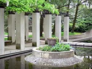 Parco di Bercy - Pergola al bordo dell'acqua coperto di glicine