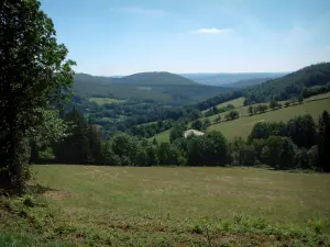 Parco Naturale Regionale dell'Alta Linguadoca - Prairie, alberi, prati e boschi