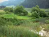 Parco Naturale Regionale dell'Alto Giura - Lago di Bog Lamoura, gli alberi, i pascoli (pascoli) e pini