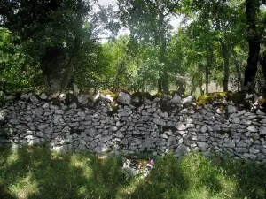 Parco Naturale Regionale dei Causses del Quercy - Muro di pietra a secco, alberi ed erba