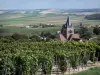 Parco Naturale Regionale della Montagna di Reims - Vigneti dei vigneti dello Champagne (vigneti della Montagne de Reims), case in città e la chiesa-Dommange si affacciano sui campi circostanti in background