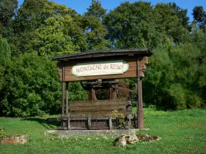 Parco Naturale Regionale della Montagna di Reims - Stampa e alberi