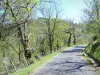 Parco Naturale Regionale dei Monti d’Ardèche - Castagno Paese: piccola strada alberata