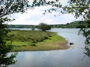 Parco Naturale Regionale  del Morvan - Vista sul lago di St. Agnan (lago artificiale) e le sue banche, i rami degli alberi in primo piano