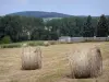 Parco Naturale Regionale Normandie-Maine - Covoni di fieno in un campo e gli alberi sullo sfondo