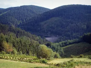 Parco Naturale Regionale del Pilat - Pilat: diga del Pit dell'inferno e colline boscose