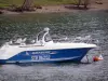 Pareloup lake - Lévézou plateau: seagulls sitting on a boat