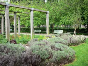 Park van Bercy - Massief planten