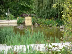 Park van Bercy - Bassin romantische tuin, omringd door vegetatie