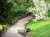 Park van Buttes-Chaumont - Met bomen omzoomde laan