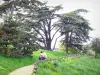 Park van Buttes-Chaumont - Paar wandelaars slenteren langs een oprit