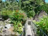 Parque arqueológico de las Rocas Grabadas - Pasarela caos de rocas volcánicas y la vegetación tropical del parque