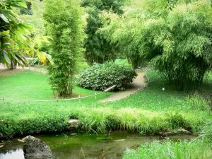 Parque de bambú de Prafrance - De bambú de Anduze (en la ciudad de Générargues), jardín exótico: el bambú y el bambusarium