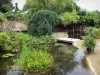 Parque de bambú de Prafrance - De bambú de Anduze (en la ciudad de Générargues), jardín exótico: jardín de agua: agua del estanque con plantas acuáticas, árboles y pequeña pasarela