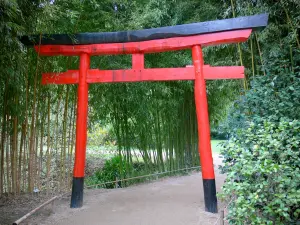 Parque de bambú de Prafrance - De bambú de Anduze (en la ciudad de Générargues), jardín exótico: valle del Dragón: pórtico japonés rodeado de bambú