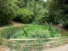 Parque de bambú de Prafrance - De bambú de Anduze (en la ciudad de Générargues), exótico jardín: plantas, árboles, palmeras y bambúes