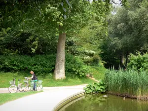 Parque de Bercy - Cuenca del jardín romántico en un entorno verde