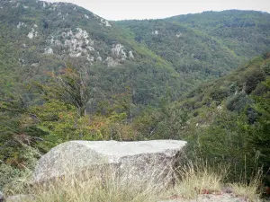 Parque Nacional de las Cevenas - Rock en el primer plano con vistas a las montañas llenas de árboles (bosque)