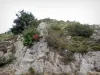 Parque Nacional de las Cevenas - Las rocas y los arbustos