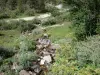 Parque Nacional de los Pirineos - Stream llena de vegetación y flores silvestres