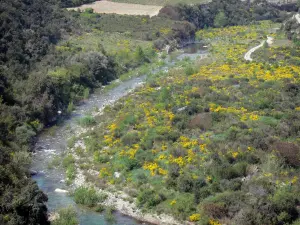Parque Natural Regional de Alto Languedoc - Río, arbustos, árboles y flores de retama