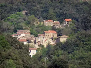 Parque Natural Regional de Alto Languedoc - Casas de una aldea en el medio del bosque (árboles)