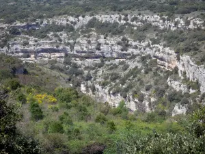 Parque Natural Regional de Alto Languedoc - Acantilados (acantilados), arbustos y árboles