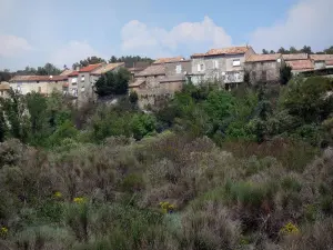 Parque Natural Regional de Alto Languedoc - Casas de algunos árboles y arbustos de la aldea