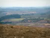 Parque Natural Regional de Armórica - Arrée Montañas: matorrales y brezos, con bosques por debajo de