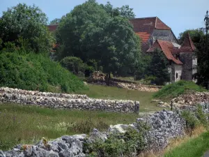 Parque Natural Regional de Causses du Quercy - Los restos, los árboles y paredes de piedra seca