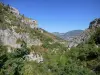 Parque Natural Regional de las Baronías  - Paredes rocosas y vegetación.