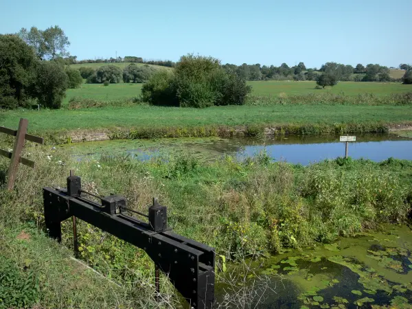 El Parque Natural Regional de las Marismas de Cotentin y de Bessin - Guía turismo, vacaciones y fines de semana en La Mancha