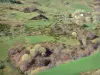 Parque Natural Regional dos Montes d'Ardèche - Pastos pontilhados com árvores