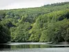 Parque Natural Regional de Morvan - Lago Chaumeçon (lago artificial) y su ribera arbolada