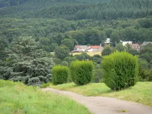 Parque Natural Regional de Morvan - Pequeños caminos, prados, árboles, casas y bosques