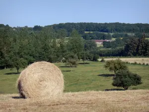 Parque Natural Regional de Perche - Haystack en un campo, las praderas, los árboles y de granja